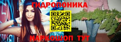 индика Краснокаменск
